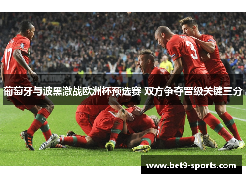 葡萄牙与波黑激战欧洲杯预选赛 双方争夺晋级关键三分